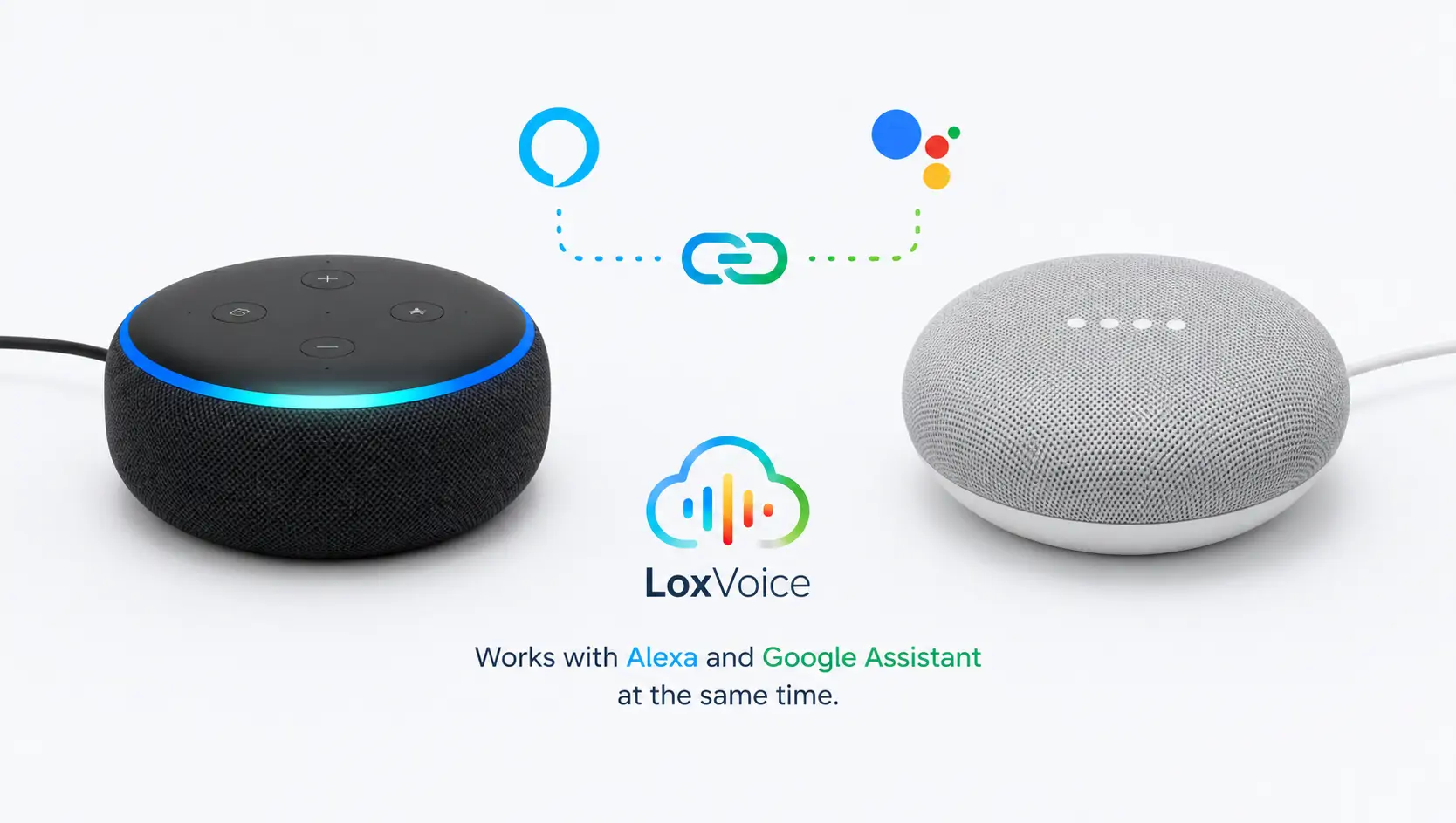 Amazon Echo and Google Nest Mini side by side - both supported by LoxVoice on a single subscription